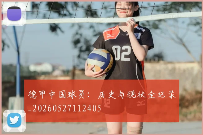 德甲中国球员:历史与现状全记录_20260527112405